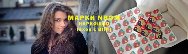 стафф Зерноград