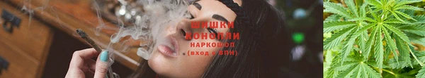 дурь Протвино