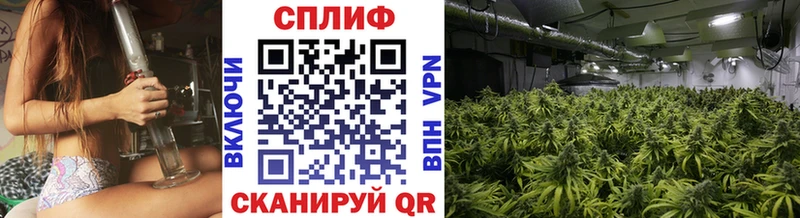 Конопля гибрид  Зарайск 